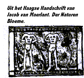 niek1.gif